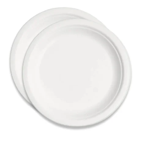 9" Bagasse Plate - 500pcs/cs